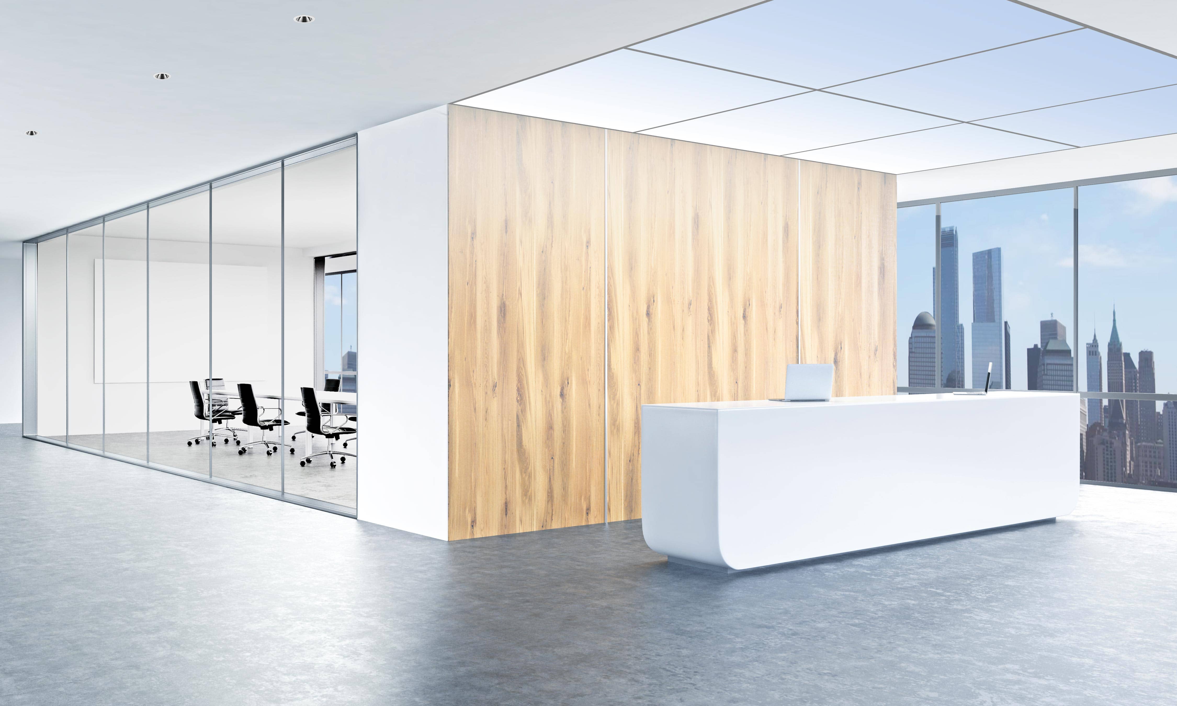 Office Reception-morning.jpg